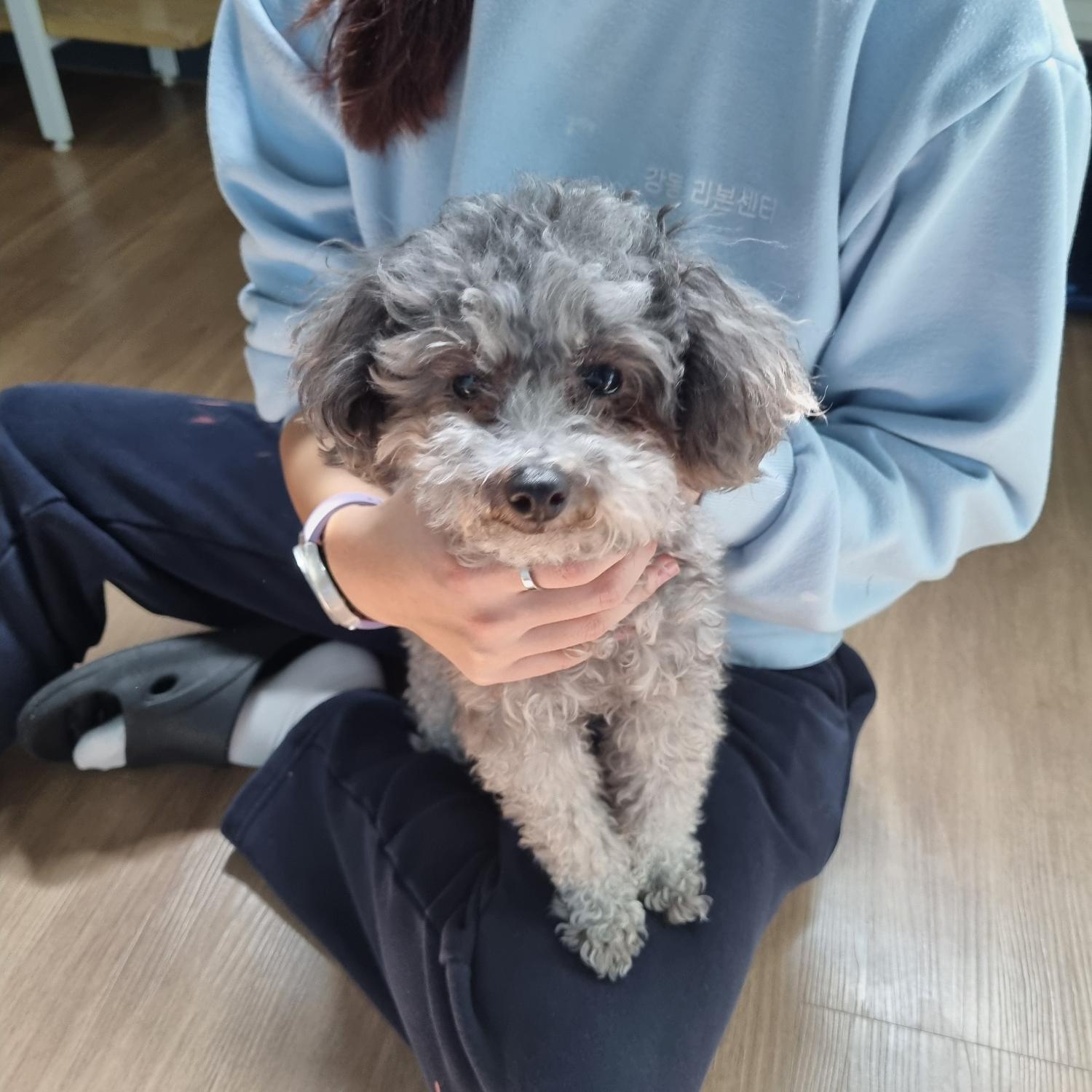 강동리본센터(reborn)_411324202500035